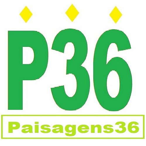 Filmadoras  usadas sony panasonic canon Paisagens36